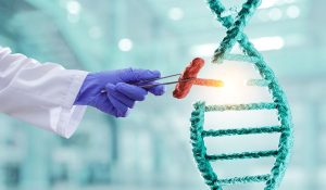 Genetic mutations