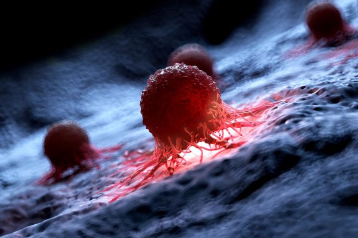 Cancer Risk Factors: Lifestyle, Genetics, and Environment