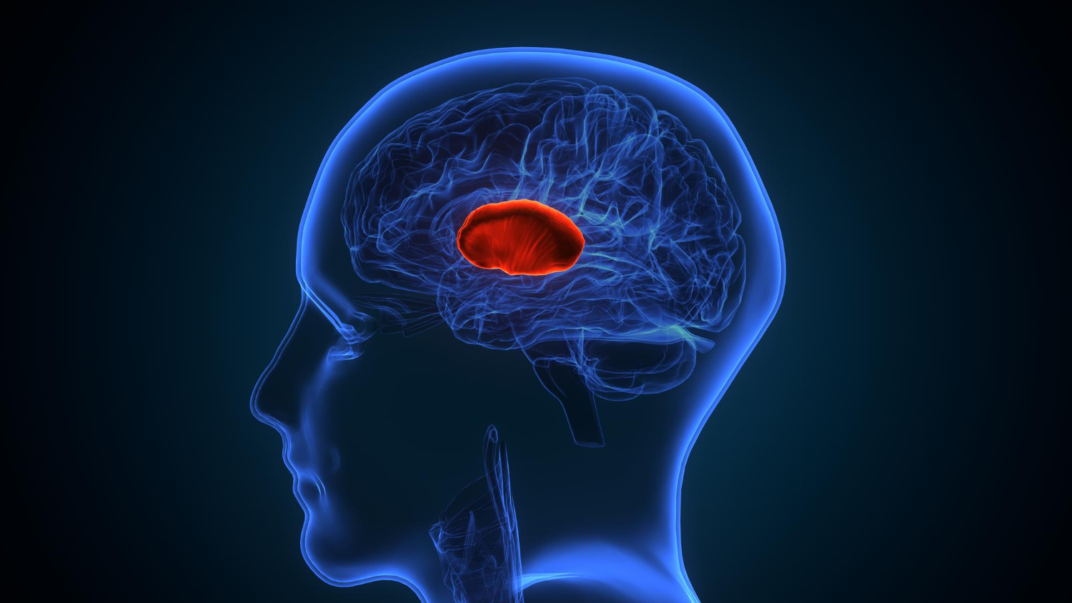 Brain Cancer: Symptoms, Treatment, and Hope