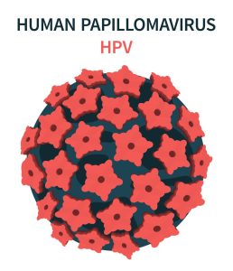 HPV (Human papillomavirus)
